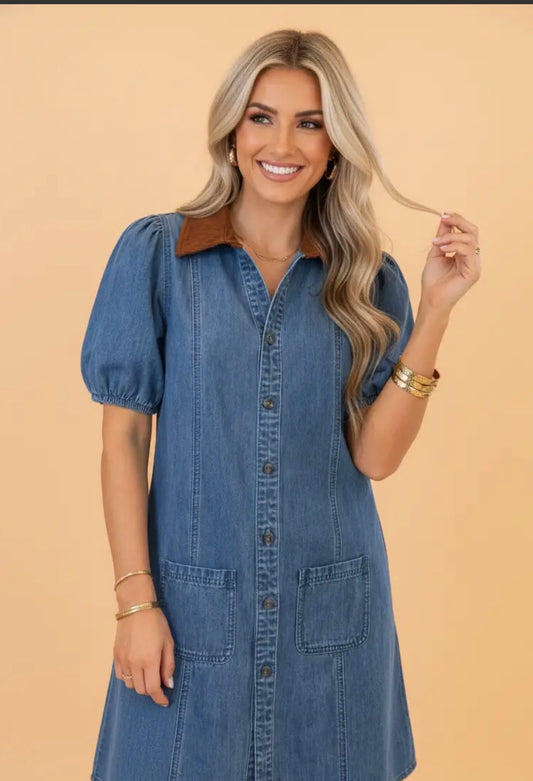 Denim Patchwork Collar Puff Sleeve Mini Dress
